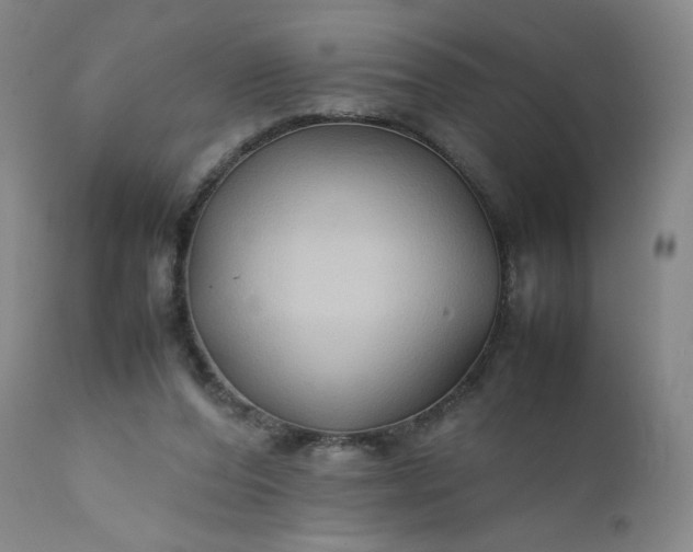 X0000112210208200908211526