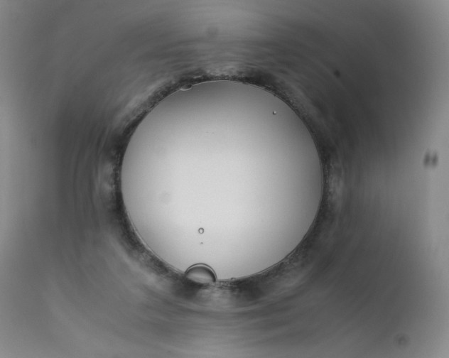 X0000112210211200908211526