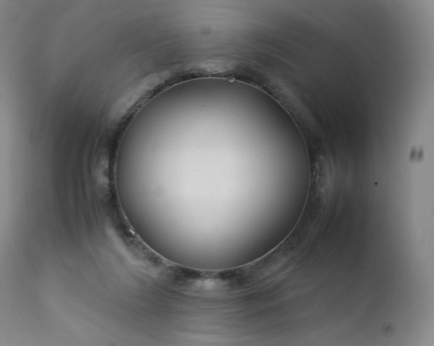 X0000112210212200908211526