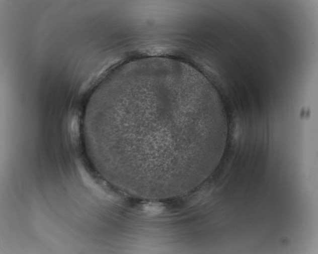 X0000112210214200908211526