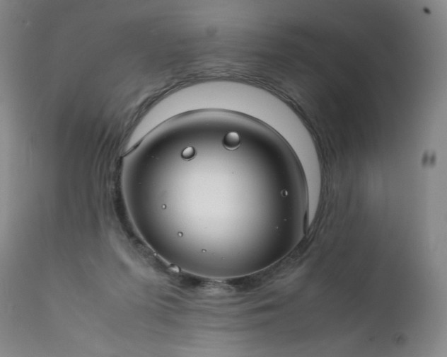 X0000112210215200908211526