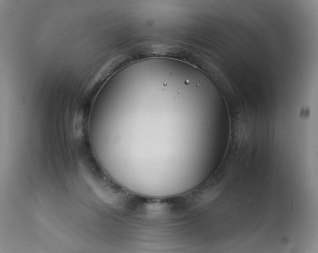 X0000112210216200908211526