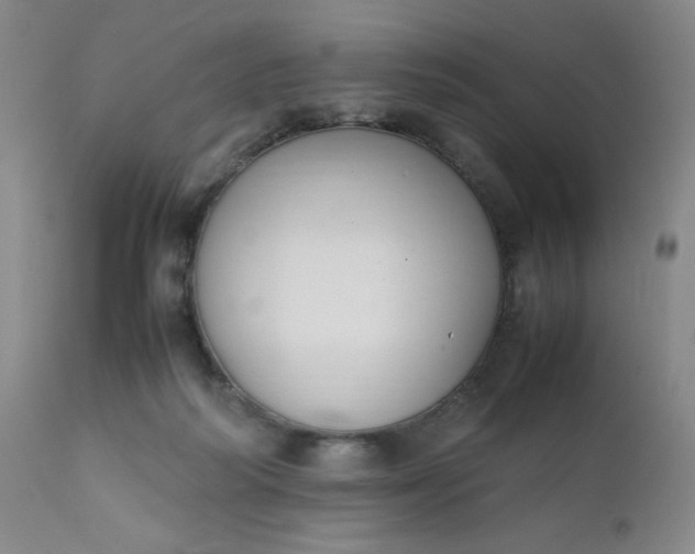 X0000112210218200908211526