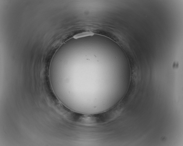 X0000112210221200908211526