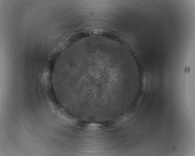 X0000112210222200908211526