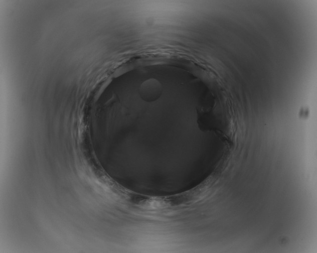 X0000112210223200908211526