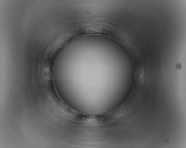 X0000112210224200908211526