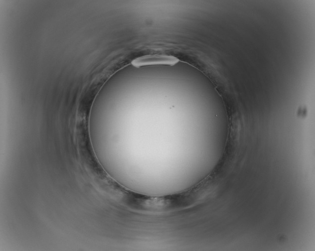 X0000112210225200908211526