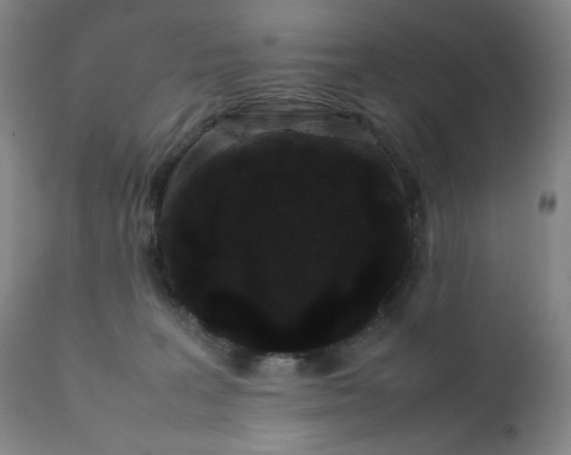 X0000112210227200908211526