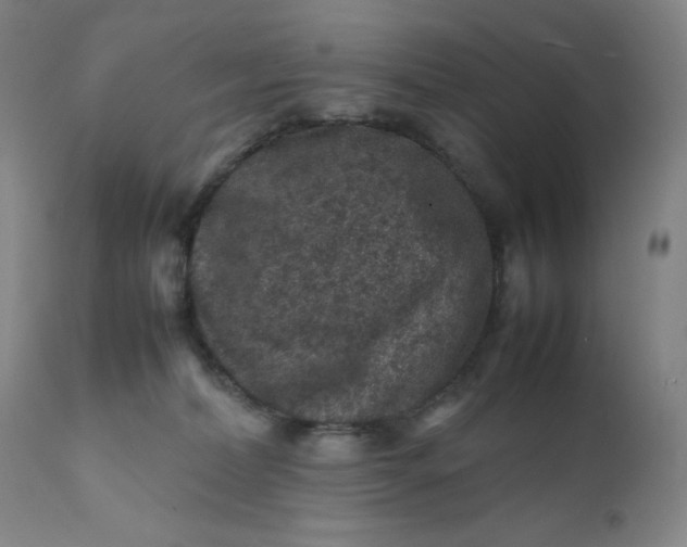 X0000112210228200908211526