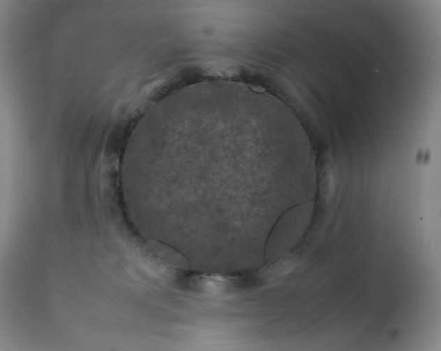 X0000112210229200908211526