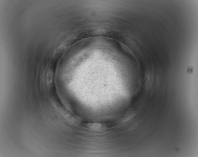 X0000112210230200908211526