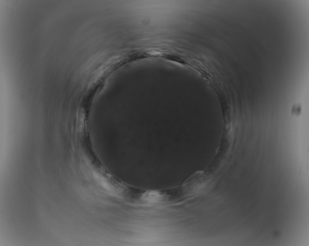 X0000112210231200908211526