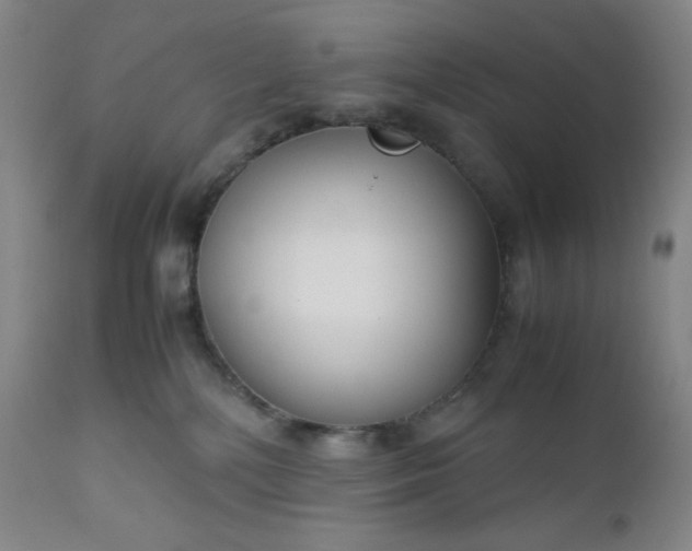 X0000112210232200908211526