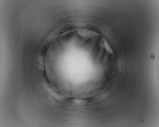 X0000112210234200908211526