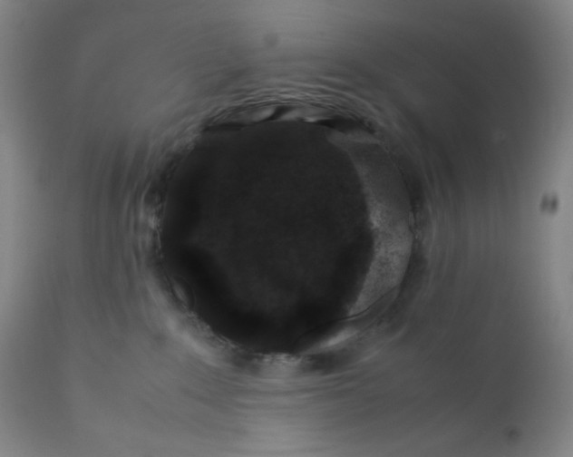 X0000112210235200908211526