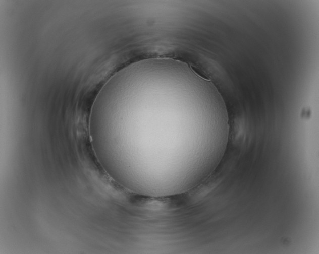 X0000112210236200908211526