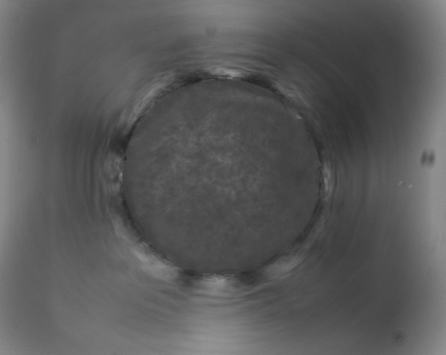 X0000112210237200908211526