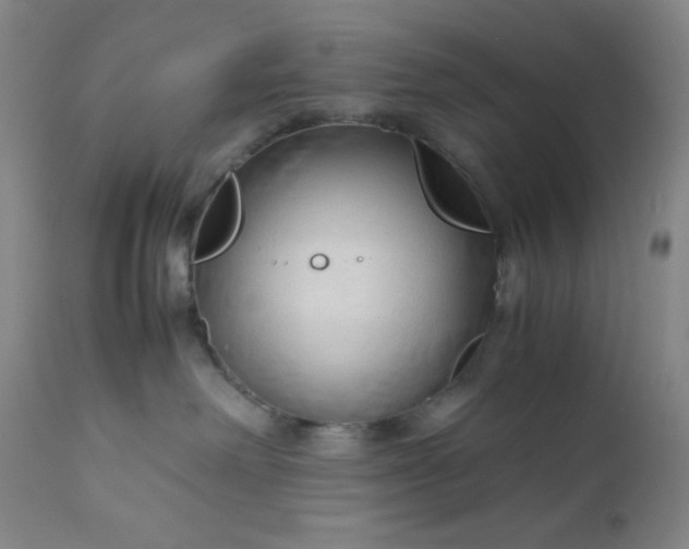 X0000112210238200908211526