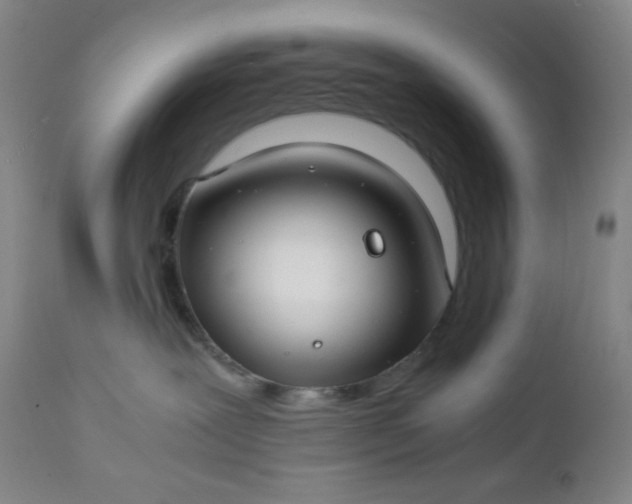 X0000112210239200908211526