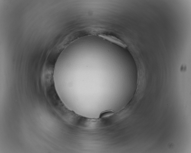 X0000112210240200908211526