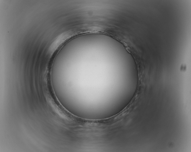 X0000112210242200908211525