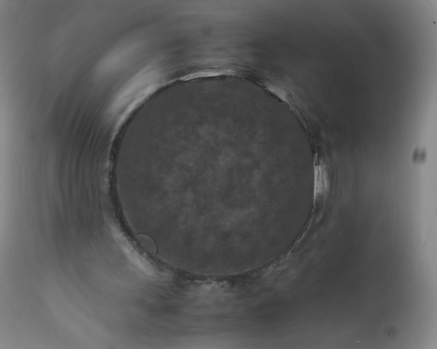 X0000112210243200908211525