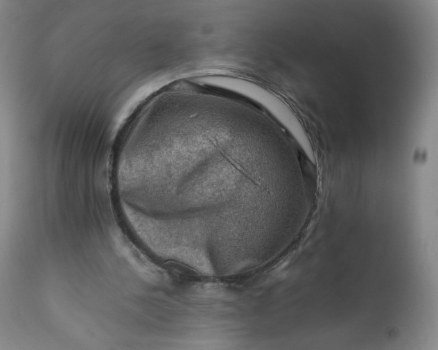 X0000112210244200908211525