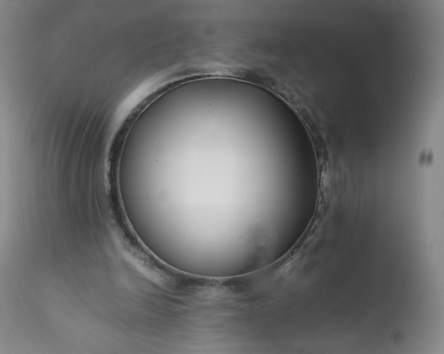 X0000112210246200908211525