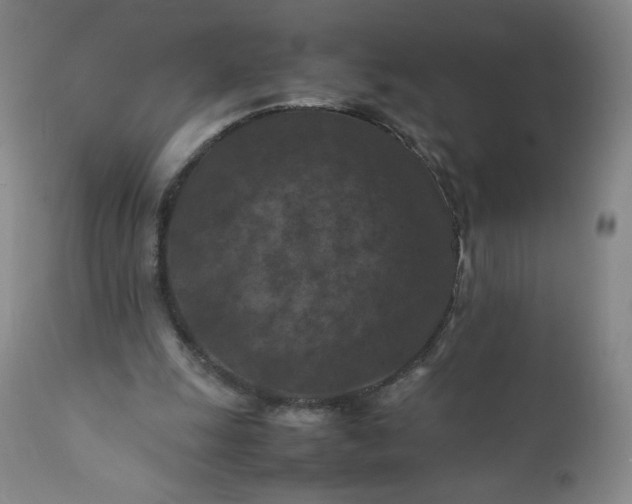 X0000112210247200908211525