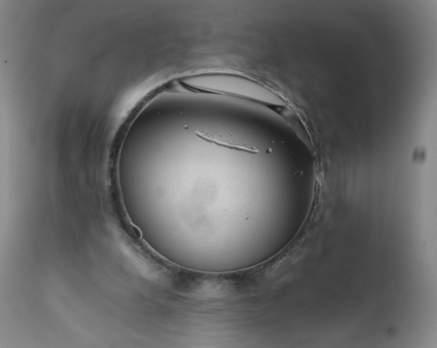 X0000112210248200908211525