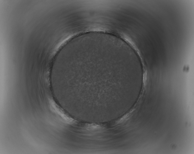 X0000112210249200908211525