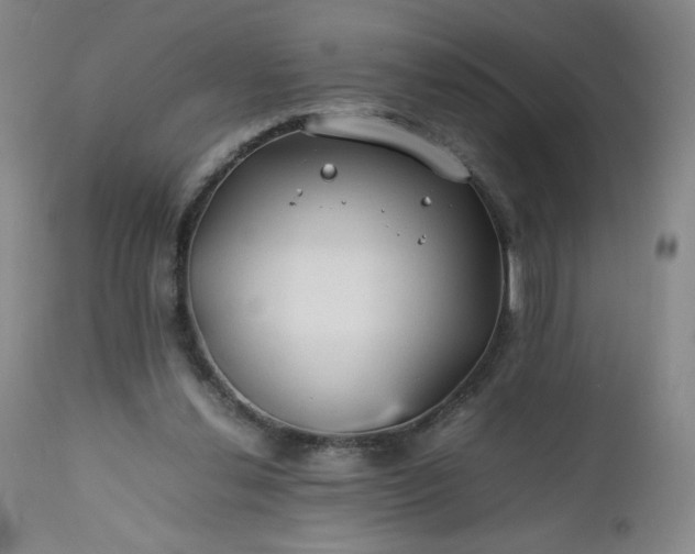 X0000112210252200908211525