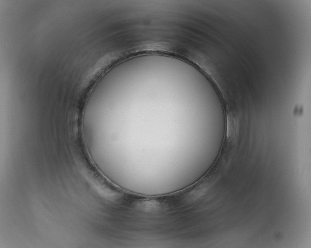 X0000112210253200908211525