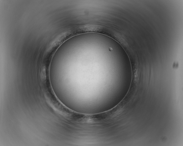 X0000112210254200908211525