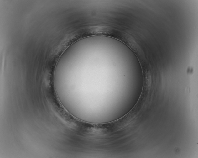 X0000112210255200908211525