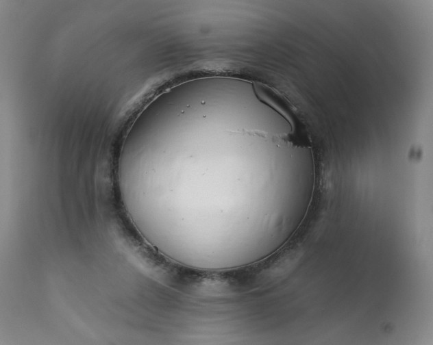 X0000112210256200908211525