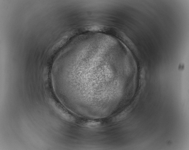 X0000112210257200908211525