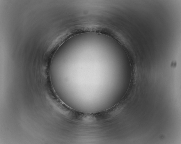 X0000112210258200908211525