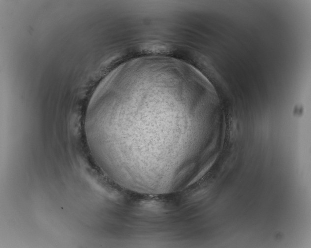 X0000112210259200908211525