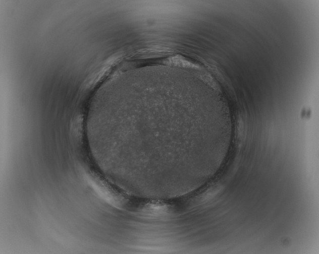 X0000112210260200908211525