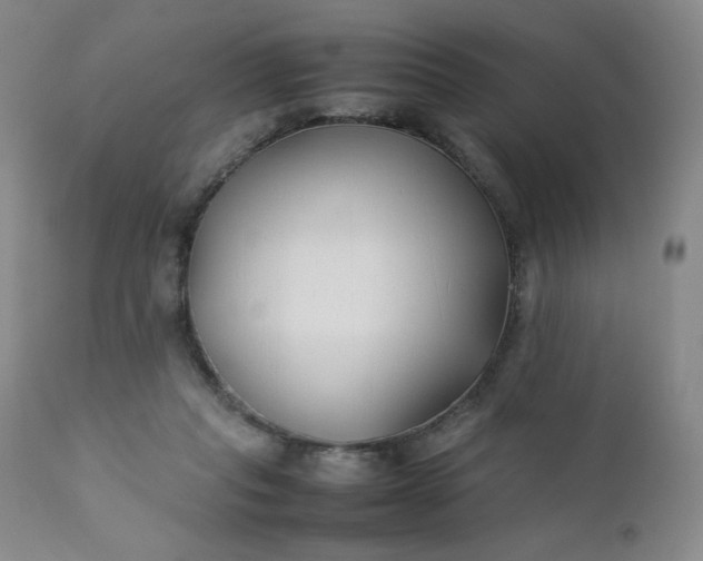 X0000112210261200908211525