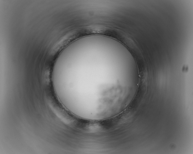 X0000112210262200908211525