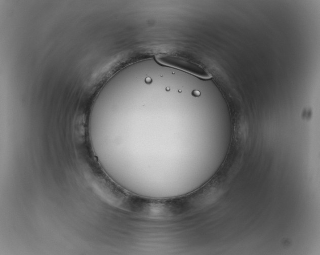 X0000112210264200908211525