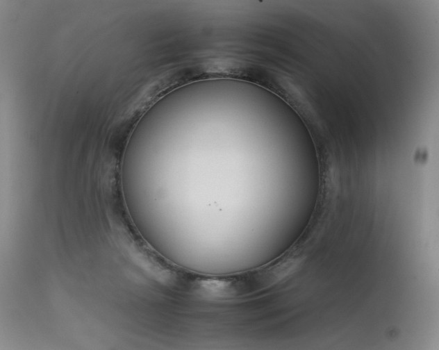 X0000112210265200908211525