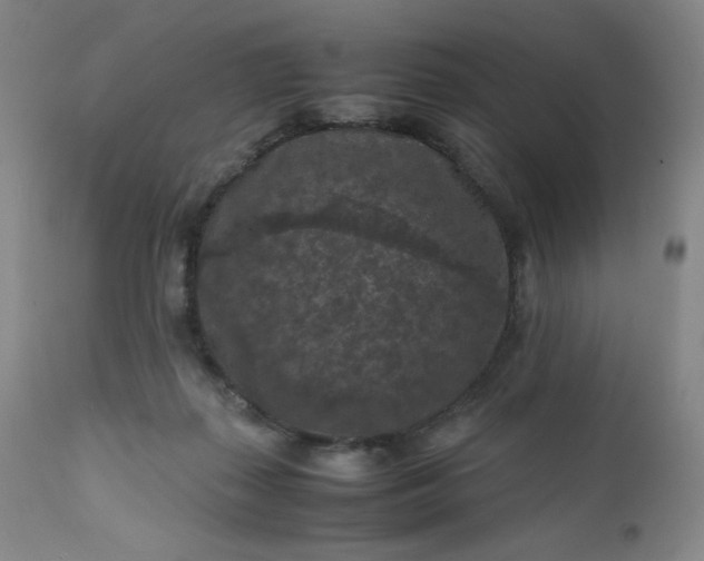 X0000112210267200908211525