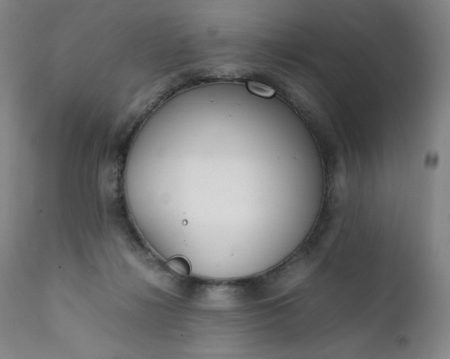 X0000112210268200908211525