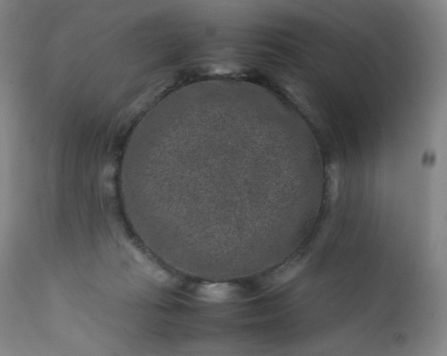 X0000112210269200908211525