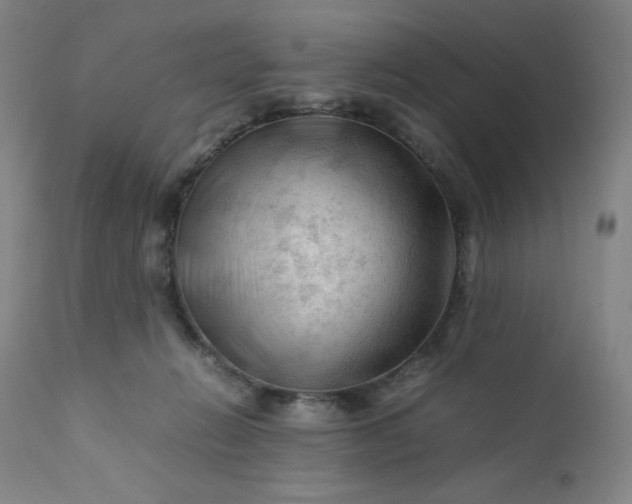 X0000112210270200908211525