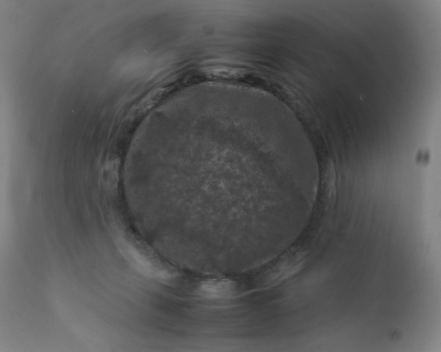 X0000112210271200908211525